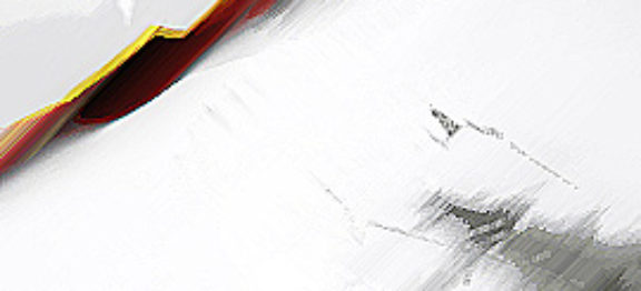 Case Study – Reckless conduct endangering serious injury